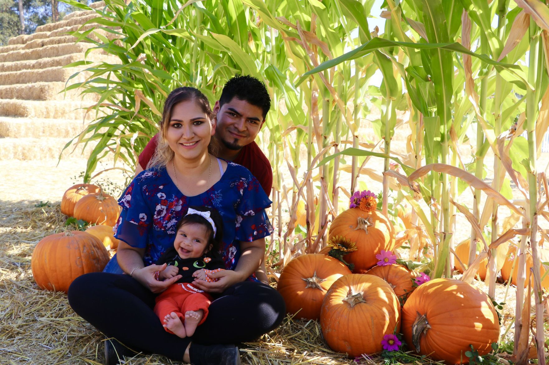 Picking Pumpkins 2019